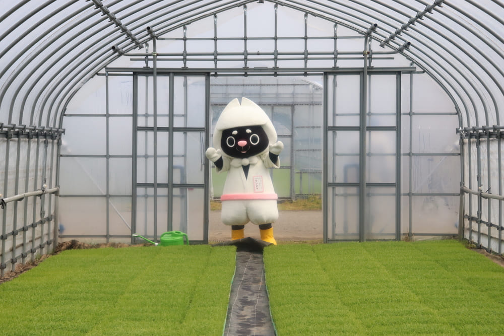 JAえちご中越様